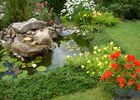 Bassin Fleurs .jpg