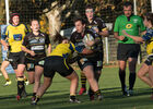 IMG_7964.jpg
