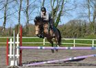 Poney_Club_Keraudrenic_Langonne (6).jpg