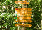 Accrobranche-24.jpg