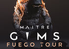29.06.19 maitre gims MES.jpg