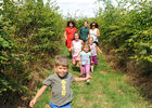 labyrintruche (pw) 9979.jpg