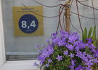 P1010400.JPG