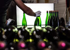 DB-degorgement-LD-24.jpg
