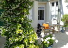 Patio fleuri