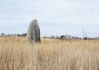 DSC07054.JPG