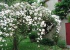 Jardin de Mô - Adriers ©Jardin de Mô (2).jpg