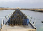 9-bassin-a-lanternes_opt.jpg