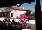 Rose La Logerie - Mauprévoir ©La Logerie.JPG