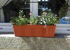 Lemontreehouse-jardinière-sit.jpg