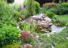 Bassin + fleurs.JPG