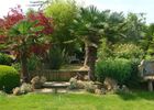 jardin bosselé2.JPG