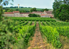 Château Lacapelle-Cabanac - Chai--© Lot Tourisme - C. ORY.jpg