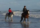 ecuriesdumoulinmoreau-laflotte-iledere-cavaliers.jpg