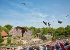 bal-des-oiseaux.jpg
