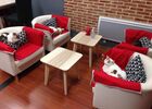 Valenciennes - Le Chat Fait des Délices - Restaurant - Salon - 2018.jpg