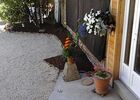 Lemontreehouse-jardin-sit.jpg