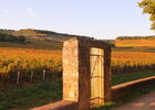Vignes-Givry-automne-2017-JM (8).JPG