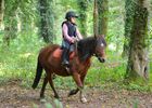 Poney_Club_Keraudrenic_Langonne (5).JPG