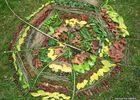 Land art2.JPG