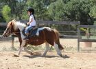 ecuriesdumoulinmoreau-laflotte-iledere-poney-2.jpg