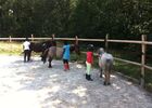 Balade_poney_ferme_Grillaults_La_Roche_Posay (1).JPG