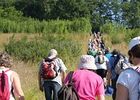 hiking-409822__340.jpg