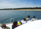 dreamon-promenades-catamaran-iledere-6.jpg
