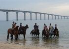 ecuriesdumoulinmoreau-laflotte-iledere-pont.jpg