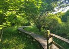 Jardins de la Clouère - Usson du Poitou ©OTVG (8).jpg