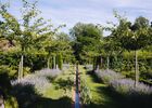 Domaine de Poulaines-6248.jpg
