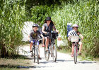 167958_camping_les_baleines_allee_du_camping.jpg