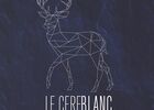 cerfblanc.jpg