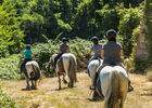 Balade Cheval.jpg