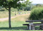 Givry-voie-verte-camping-car-velo-cyclo-OT (32).JPG