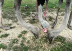20170911_170551.jpg