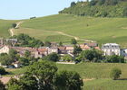 Mercurey-vins-vignes-paysages-OT (93).JPG