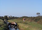 circuit randonnée les marais de lescors ©Sandrine CCPBS (2).JPG