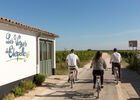VueGenerale1vélos NewBrand-F455-FR-sainte-marie-de-ré-experience-420.jpg