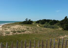 ile-de-re-dunes-plage-accès direct-camping-antioche (2).jpg