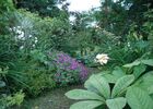 Jardin de Mô - Adriers ©Jardin de Mô (3).jpg