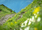 TRAILChampsaur_BD©AgenceKros_RemiFABREGUE (22 sur 51).jpg