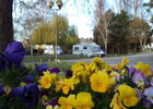 DSC06351.JPG