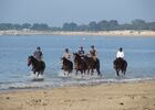 ecuriesdumoulinmoreau-laflotte-iledere-plage.jpg
