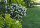 15-Jardin-Entry-e-2-.JPG