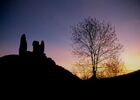 16- Arbre et ruines de Montaillou 300 dpi1 - copie.jpg