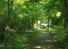 Jardins de la Clouère - Usson du Poitou ©OTVG (6).jpg
