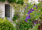 La maison Douce ile de Ré - Le Jardin (20).jpg