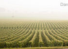 Art-In-The-Harvest-Darrin-Ballman-Commercial-Photography-9215_WEB_LOGO.JPG