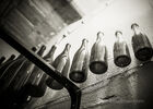 Art-In-The-Harvest-Darrin-Ballman-Commercial-Photography-8875_WEB_LOGO.JPG